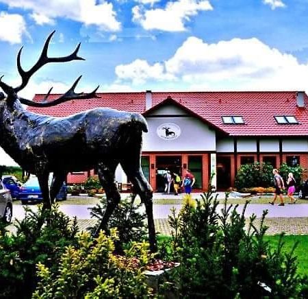 Pensjonat I Restauracja Hubertowka Милич Экстерьер фото